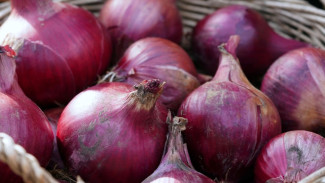 8 Trik Menyimpan Bawang Merah agar Tidak Cepat Tumbuh Tunas
