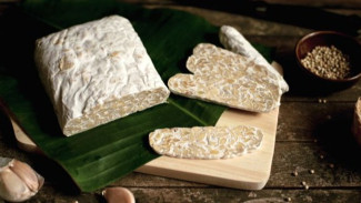 Bukan Hanya Tempe Kedelai, Inilah 5 Jenis Tempe yang Wajib Diketahui
