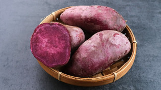 8 Panduan Mudah Menanam Ubi Talas (Taro) di Rumah untuk Pemula
