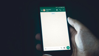 3 Cara Menyimpan Foto Sekali Lihat di WhatsApp, Gampang Banget!