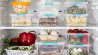Masak Kilat Anti Drama? Ini Isi Freezer yang Wajib Kamu Punya!