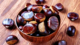 Gak Takut Bau Lagi! Ini 7 Cara Masak Jengkol Biar Empuk dan Harumnya Bikin Nagih