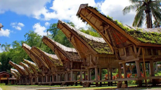 Budaya Unik Tana Toraja, dari Tongkonan hingga Rambu Solo