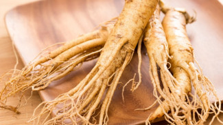 Ginseng, Akar Ajaib Berenergi, Berkhasiat, Namun Mahal?