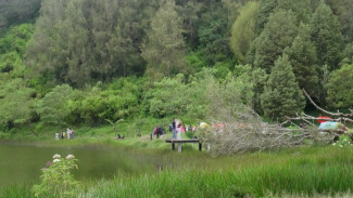 Ranu Regulo, Spot Healing di Kaki Semeru!