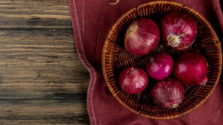 Mau Panen Bawang Merah dari Teras Rumah? Coba 6 Cara Simpel Ini di Dalam Pot!
