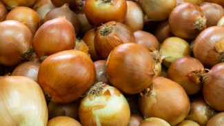 Tidak Perlu Boros Waktu dan Uang! Ini Cara Simpan Bawang Bombay Biar Awet Berbulan-Bulan