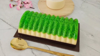Puding Lumut Pandan Coklat, Dessert Cantik Viral yang Wajib Dicoba di Rumah
