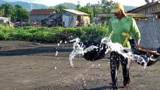 Mengenal Garam Kusamba, Warisan Nusantara, dan Mendunia