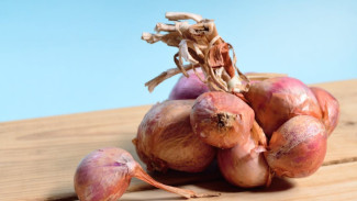 Anti Gagal! Begini Cara Menyimpan Bawang Agar Tidak Cepat Busuk dan Tetap Segar Lebih Lama