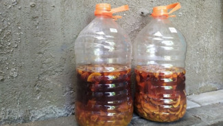 Yuk, Bikin Eco Enzyme! Intip Manfaat Dan Cara Membuatnya di Rumah