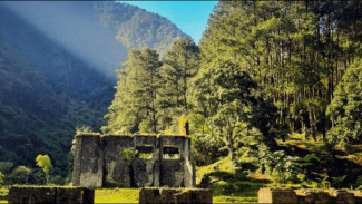 2 Hari 1 Malam di Gunung Puntang! Camping Seru, Hiking, dan Ngopi Estetik di Tengah Hutan