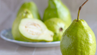 Jambu Biji Sebagai Menu Diet? Kenali 5 Manfaatnya Untuk Kesehatan Tubuh!
