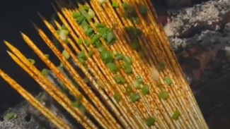 Resep Tusuk Sate Bumbu Pedas Viral di TikTok, Camilan Anti Kalori Cocok untuk yang Lagi Diet