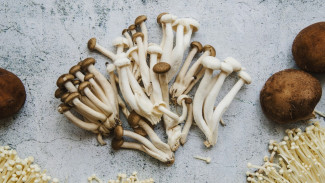 Jamur Enoki, Manfaat Hebat, dan Cara Mengolah yang Tepat