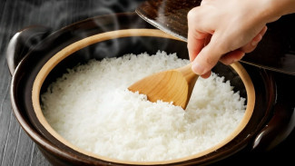 Nasi di Rice Cooker Cepat Basi dan Berair? Ternyata Ini Penyebab dan Cara Mengatasinya