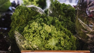 Kale Tetap Awet dan Crunchy? Ini Tips Simpelnya!