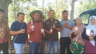 Camat Wongsorejo Ikut Panen Madu di Alasbuluh, Dukung Pengembangan Peternakan Lebah Banyuwangi