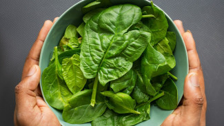 7 Manfaat Sayur Bayam untuk Kesehatan Tubuh, Rahasia Hidup Lebih Sehat
