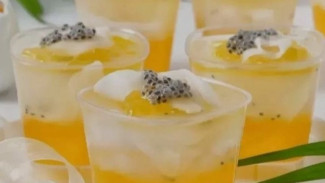 Resep Puding Jeruk Kelapa Muda, Santapan Dessert Yang Istimewa