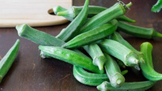 Selain Meningkatkan Imunitas, Inilah 8 Manfaat Okra Bagi Kesehatan Tubuh yang Jarang Diketahui