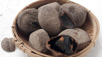 Kiat Jitu Memilih Kluwek Berkualitas, Rahasia Dapur Nusantara yang Aman dan Lezat