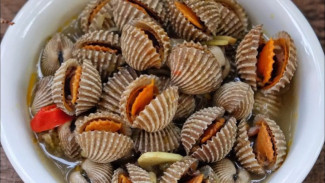 Resep Kerang Dara Rebus Sederhana, Praktis dan Enak!