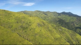 Bukan di Sumba, Ini Bukit Premium di Pasuruan !