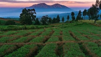 Brakseng Batu, Surga Alam di Atas Awan Kota Batu yang Wajib Kamu Kunjungi