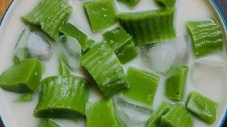 Resep Es Bongko Pontianak, Haus Bisa Hilang Seketika Hanya Dengan Minuman Segar Yang Satu Ini