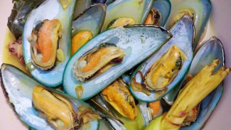 Resep dan Cara Membuat Tumis Kerang Hijau Gurih dan Lezat