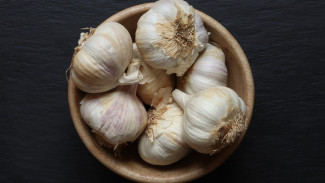 Lakukan Ini Agar Bawang Putih Lama Bertunas