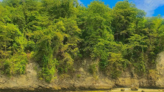 Pantai Tanjung Karang, Surga Bawah Laut yang Tak Boleh Dilewatkan