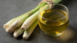 9 Manfaat Rebusan Serai yang Didapatkan Tubuh Bila Dikonsumsi Rutin dan Tidak Berlebihan