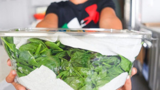 Biar Gak Buang-buang Duit, Begini Cara Simpan Bayam agar Awet Segar