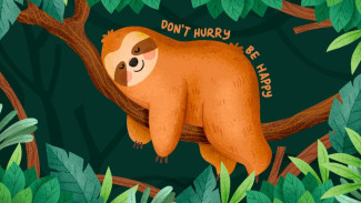 Filosofi S.L.O.W, Hidup Seperti Sloth Slow But Sure!