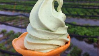 Bukan Cuma Matcha! Ini 7 Es Krim Unik dari Jepang yang Bikin Lidah Kaget tapi Nagih