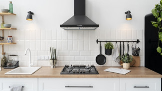 Tips Dapur Bebas Hama, 3 Bahan Alami untuk Mengusir Tikus dan Kecoa