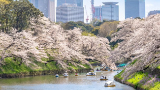 10 Cara Asyik Menjelajahi Tokyo dari Sudut Pandang Penduduk Lokal