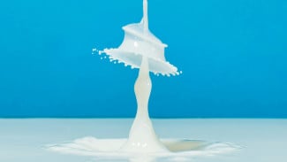 Jangan Kaget! Susu Rendah Lemak Ternyata Punya Kekuatan Rahasia!,