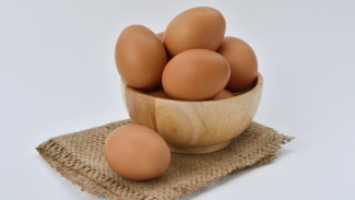 Mengenal Jenis-Jenis Telur Ayam, Karakteristik, Gizi, dan Manfaatnya