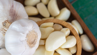 Bawang Putih Kupas Mudah Busuk? Berikut Cara Cerdas Menyimpannya Supaya Awet Berbulan-Bulan