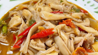 Resep Tumis Jamur Tiram, Lezat dan Praktis untuk Menu Sehari-hari