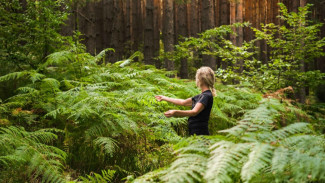 Bukan Sekadar Jalan-Jalan, Forest Therapy Kini Jadi Cara Baru Atasi Stres!