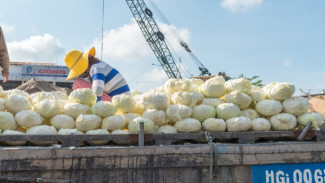 Agrowisata Sondokoro, Wisata Keluarga Lengkap dengan Sentuhan Sejarah dan Alam di Karanganyar