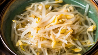 9 Manfaat Makan Toge Bagi Kesehatan Tubuh yang Jarang Orang Tahu