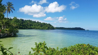 Pulau Kaledupa, Surga Hijau di Wakatobi yang Penuh Budaya dan Ekowisata Mangrove