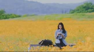 7 Drama Korea Terbaru Agustus 2025 yang Bikin Hati Campur Aduk