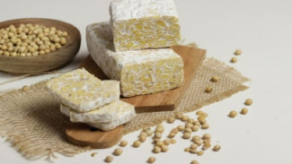 Tips Menyimpan Tempe Segar Tanpa Cepat Asam