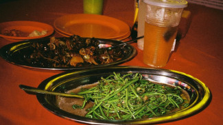 Bergizi, tapi Berbahaya? Ini 5 Makanan yang Ternyata Menyerap Limbah Beracun